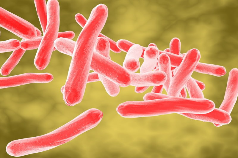 Mykobakterien, Mycobacterium leprae, Mycobacterium tuberculosis, Mycoplasma pneumoniae