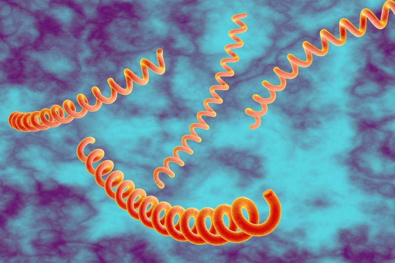 Syphilis, Lues venerea, Französische Krankheit, Harter Schanker, Lues, Schaudinn-Hoffmann-Krankheit